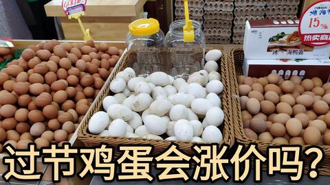 木糖醇價(jià)格揭秘，甜蜜日常趣事中的價(jià)格探討