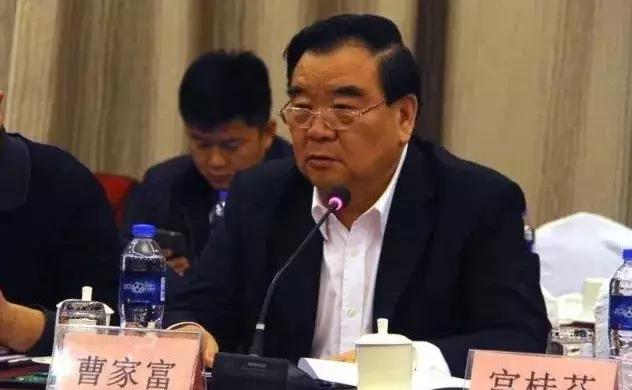 今日水禽網鴨產品行情概覽與分析