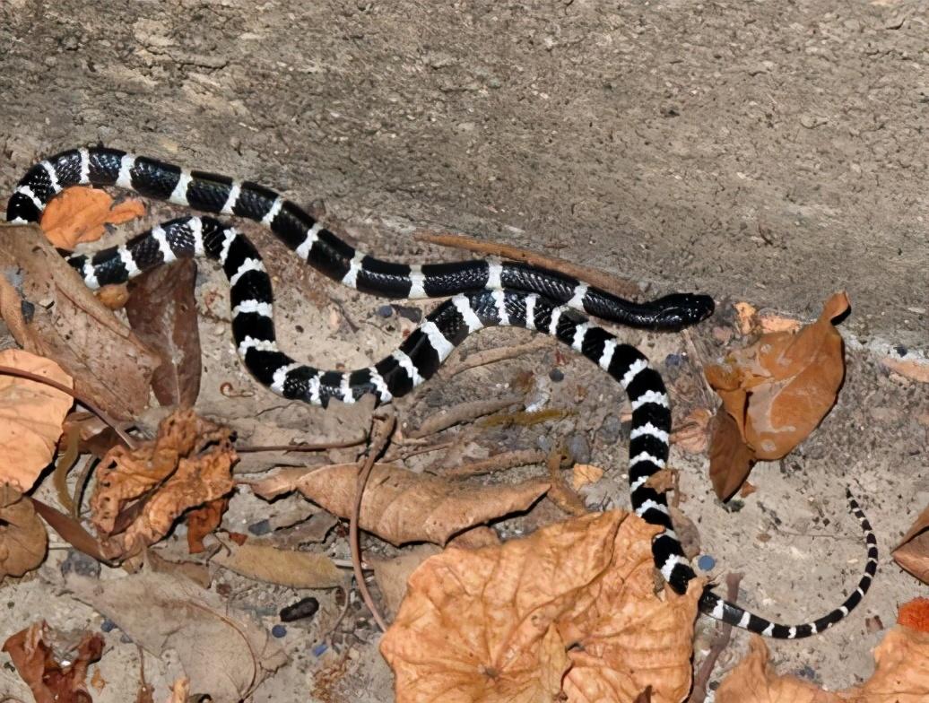 世界十大災難電影盤點,你看過幾部???