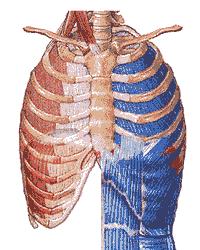 三維動畫最新技巧詳解,從入門到進階的全方位指南