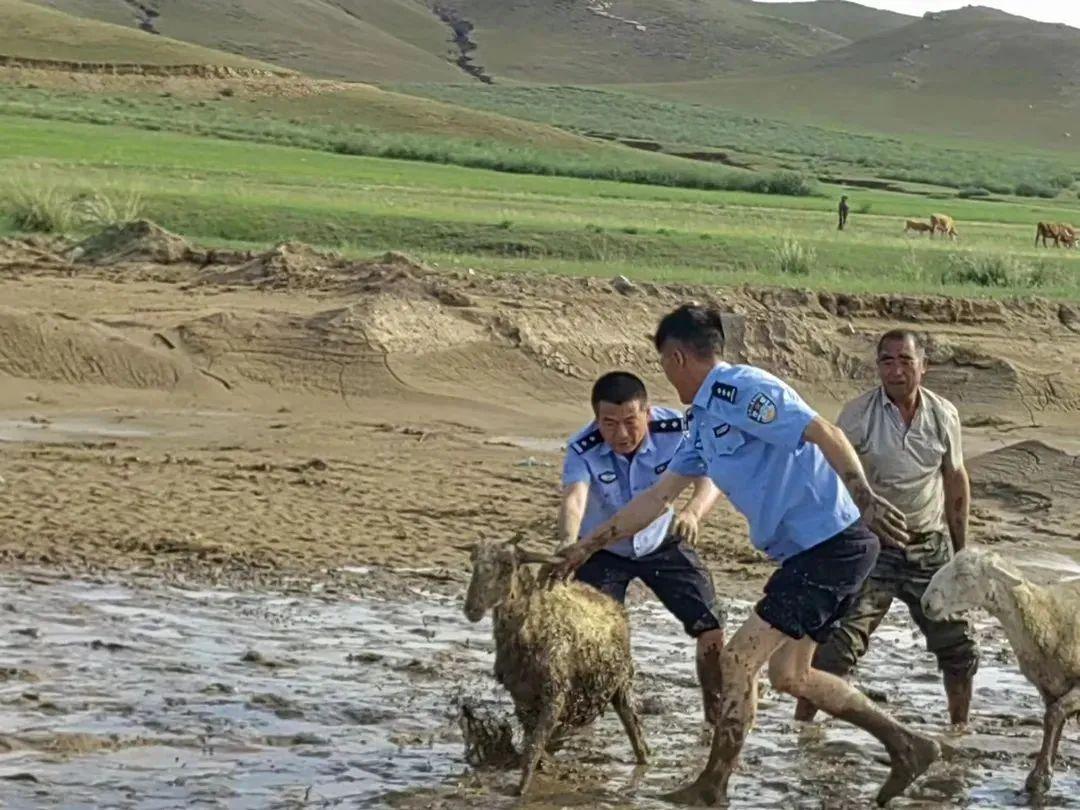 電視劇熱血勇士熱血燃情,英勇無畏的傳奇故事。