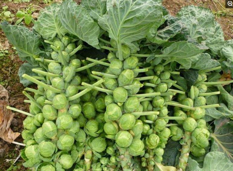 美國最新科技N,自信與成就感的完美結合——科技與勵志之旅