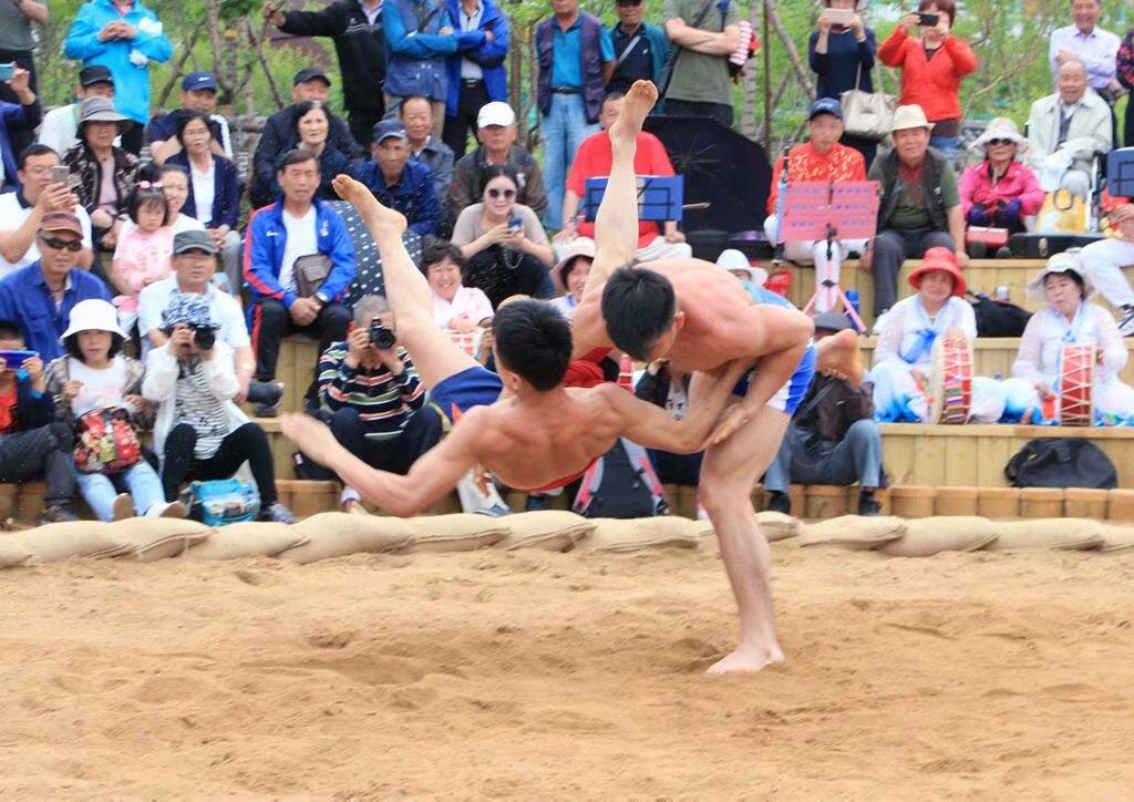 摔跤比賽,自然美景中的心靈之旅對決