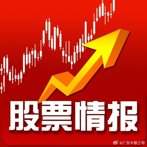 熱門股票背后的秘密與小巷特色小店的探秘之旅