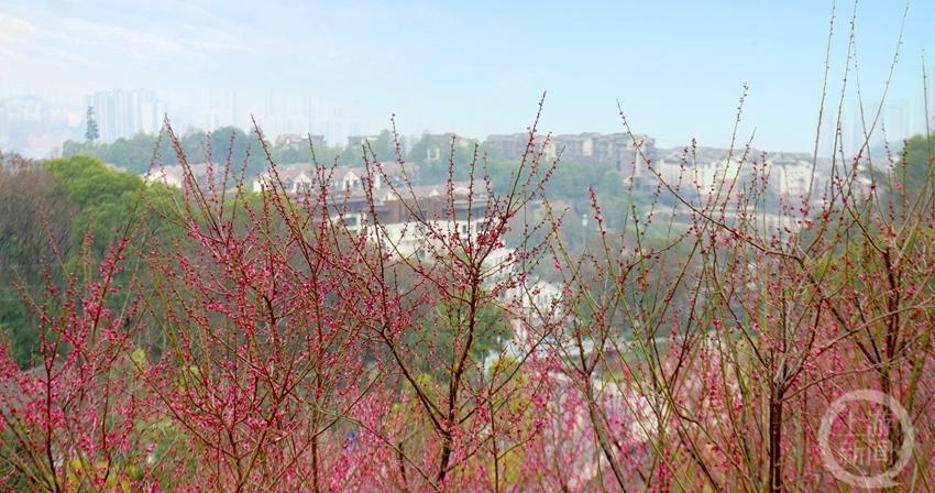 ??最新征稿主題火熱開啟,等你來參與!