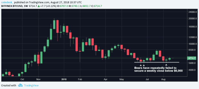 文化與商業(yè)的交融盛宴，F(xiàn)un行情狂歡夜