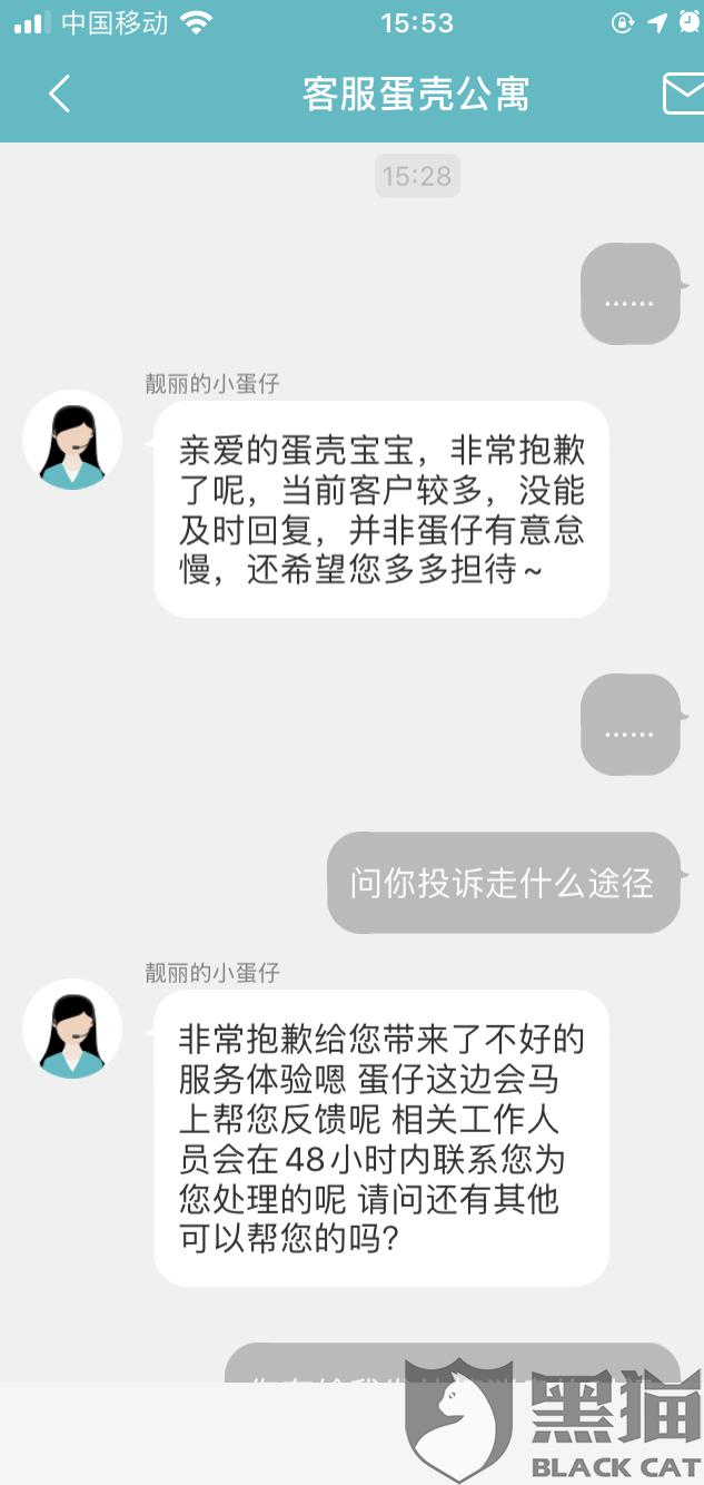 蛋殼公寓最新動態(tài)，家的溫馨與友情的綻放時刻