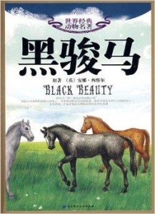 黑駿馬演員表深度解析與觀點闡述