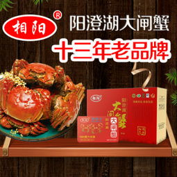 太湖大閘蟹價格，家的味道與價值的完美結合