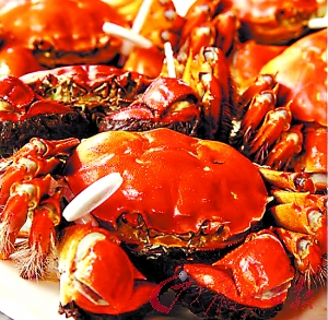 太湖大閘蟹價格,家的味道與價值的完美結合