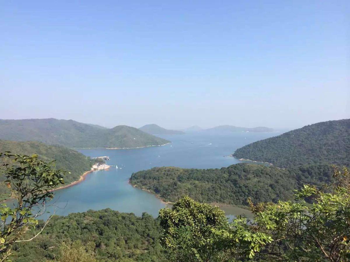 機場東高鐵站最新動態更新