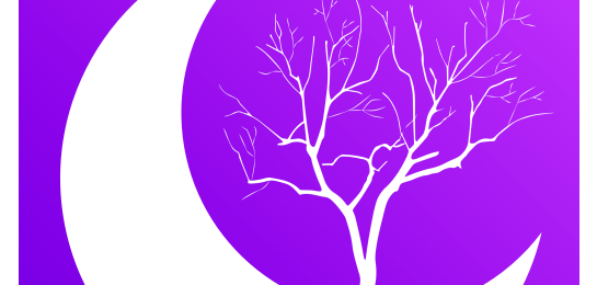 新版望月,視覺盛宴與情感的交融之夜???