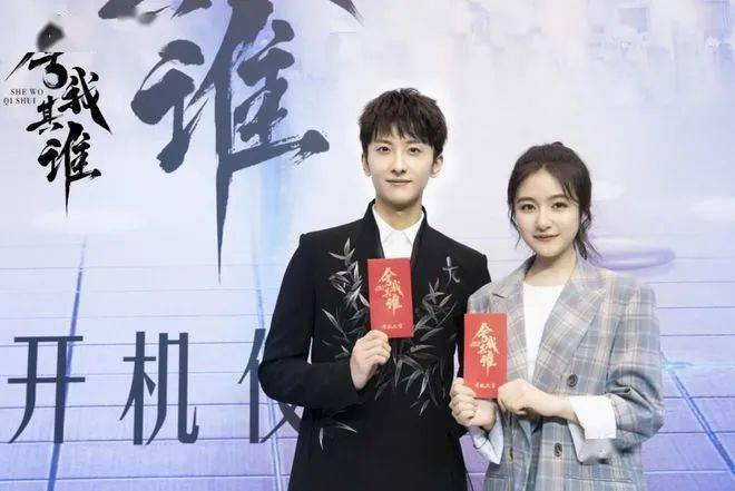 舍我其誰演員表深度解析，角色與演技探究