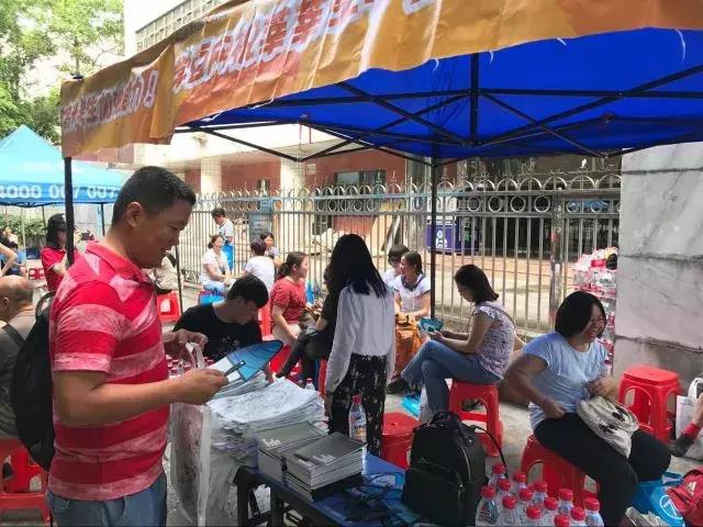 夢百合股票行情,股市故事與最新動態解析