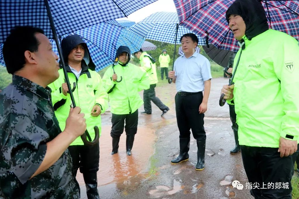 郯城事件最新動態,小巷深處的獨特小店揭秘