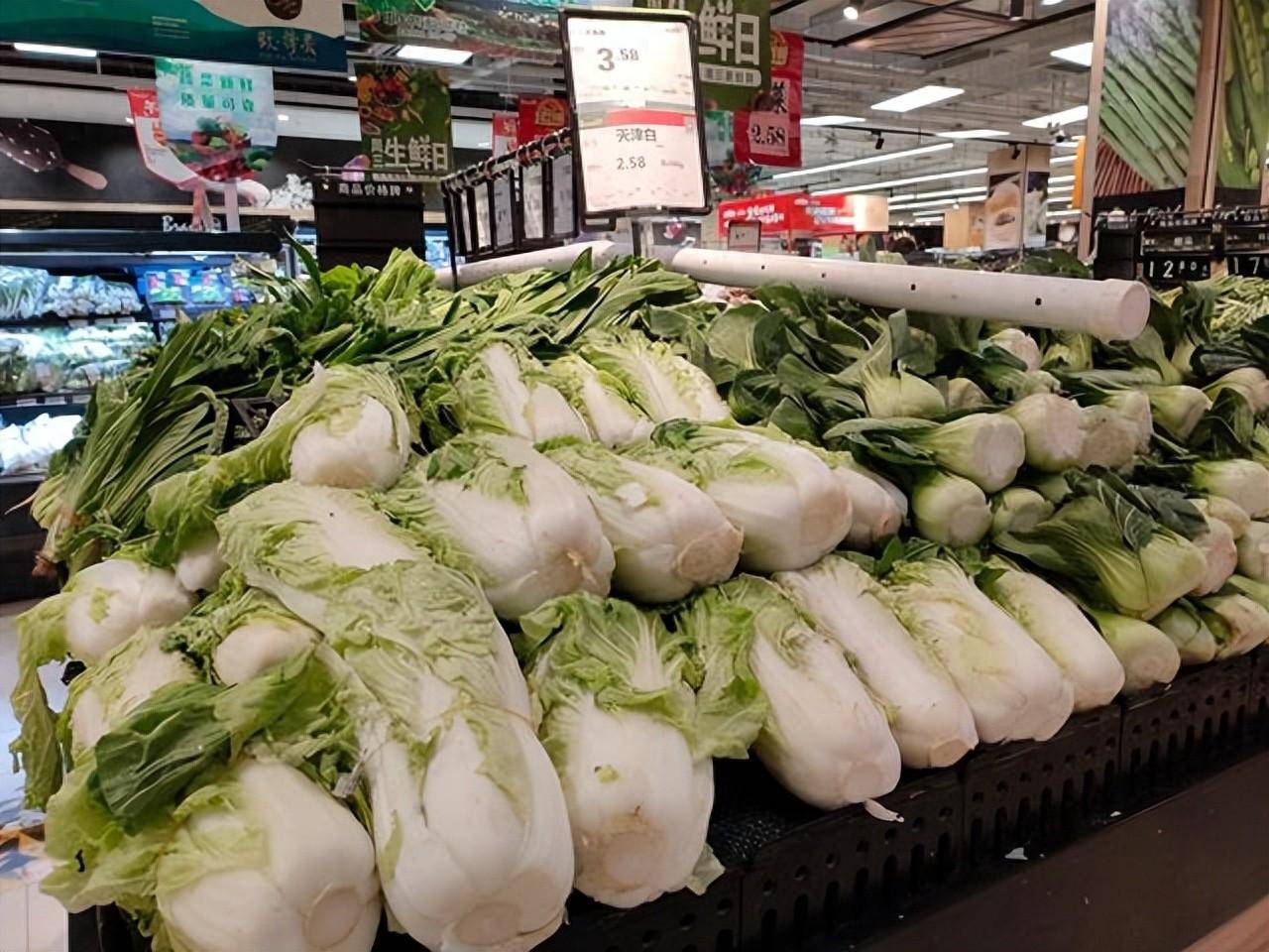 白菜批發(fā)市場價格動態(tài)，自然美景背后的市場波動與旅行體驗之旅