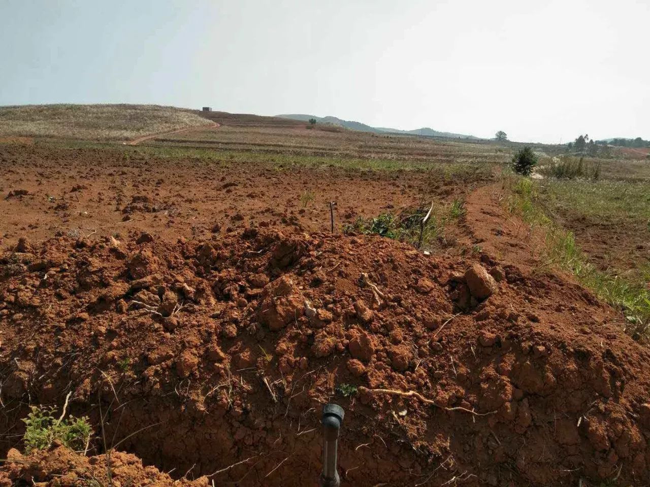 隴川土地出售信息及變化中的學習與自信力量
