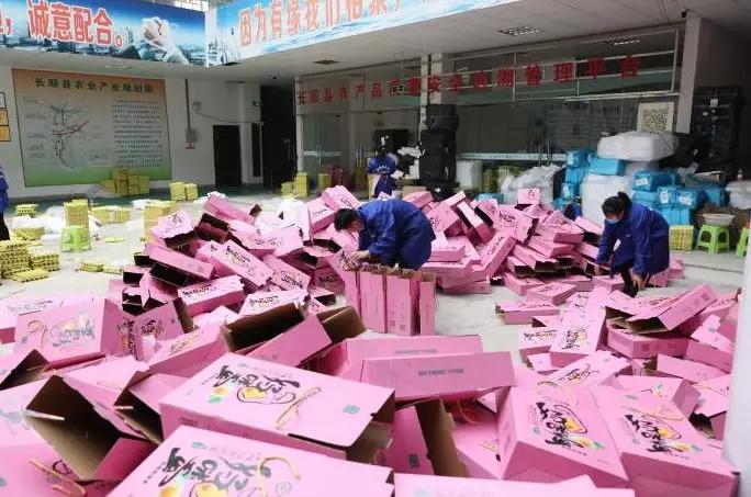 貴州雞蛋價格最新行情及分析報告