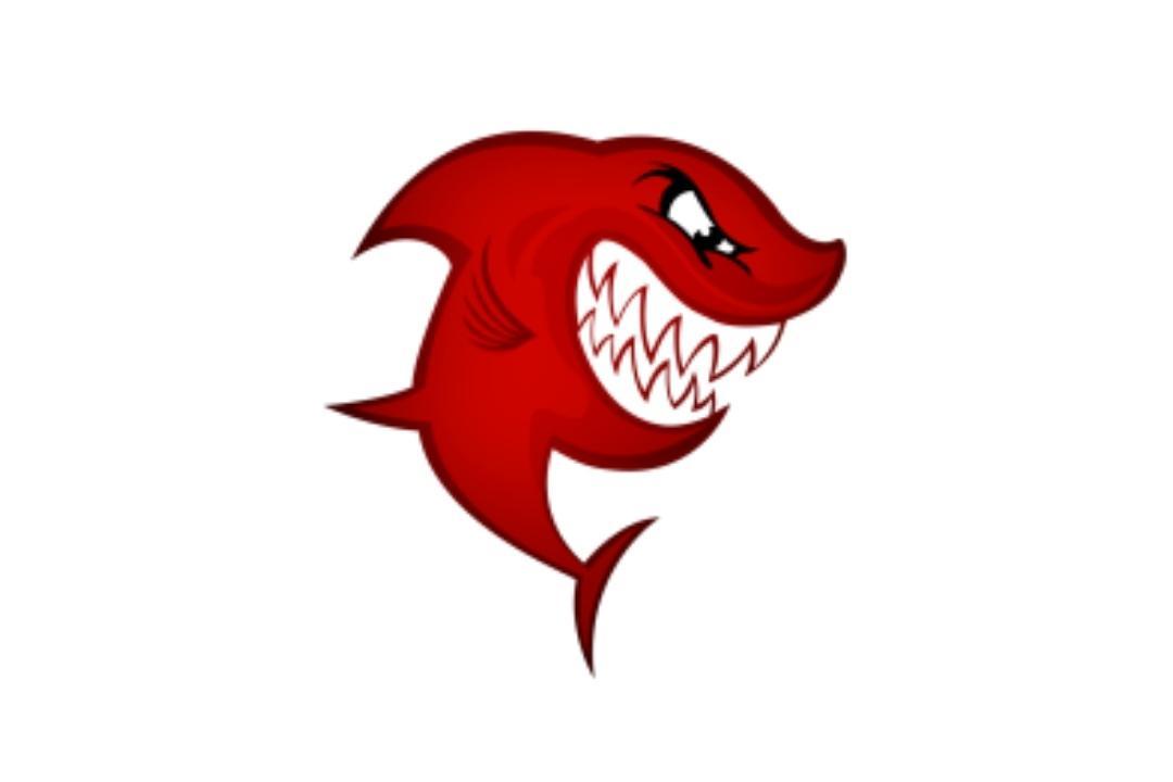 鯊魚磁力最新揭秘，海洋的秘密與友情的溫馨之旅