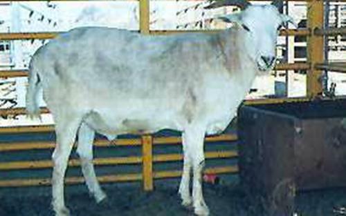 最新病例報道與科技領跑重塑生活品質