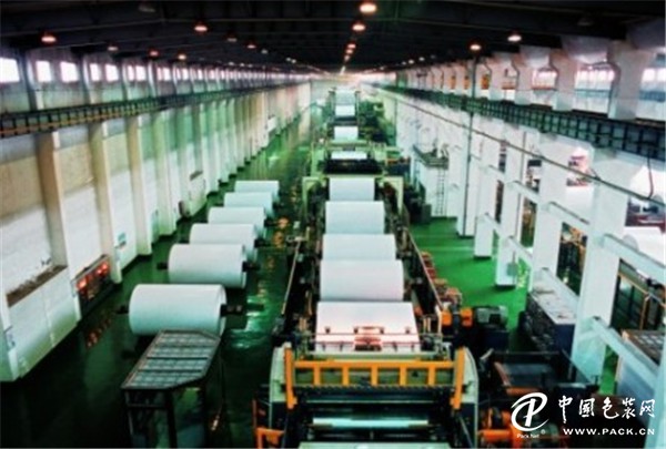 晨鳴紙業(yè)最新動態(tài),深度洞察行業(yè)內(nèi)的觀點與分析