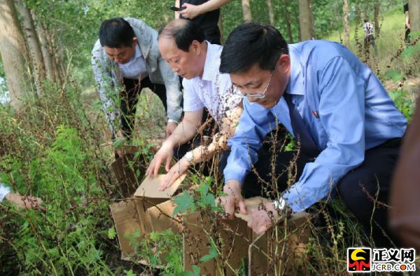 灌云最新資訊，小城溫馨日常與家的溫暖故事