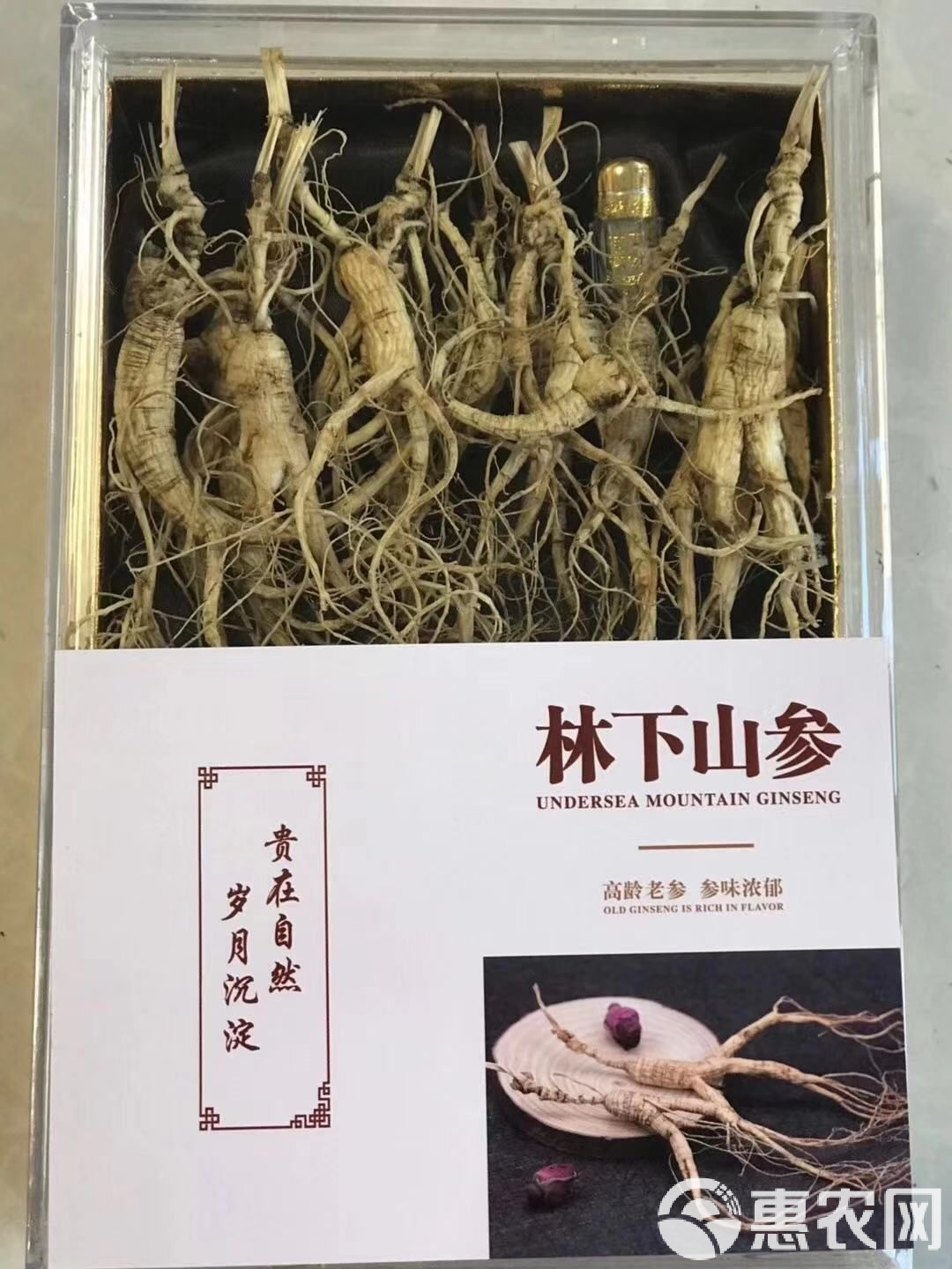 林下參價格行情探索，自然美景背后的旅行價值揭秘（2016年）