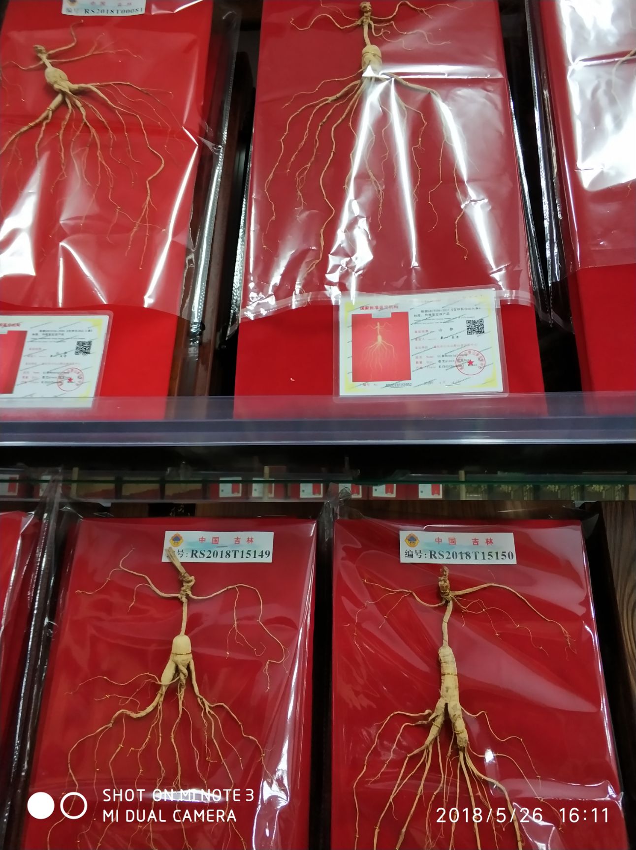 林下參價格行情探索,自然美景背后的旅行價值揭秘(2016年)