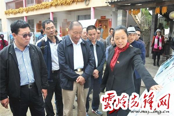 云南羅正富最新動態概覽，最新指南與進展