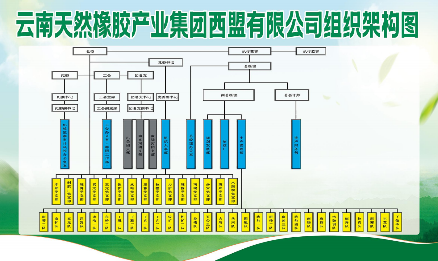 云南天然橡膠最新價格，探索橡膠產業背后的溫情故事