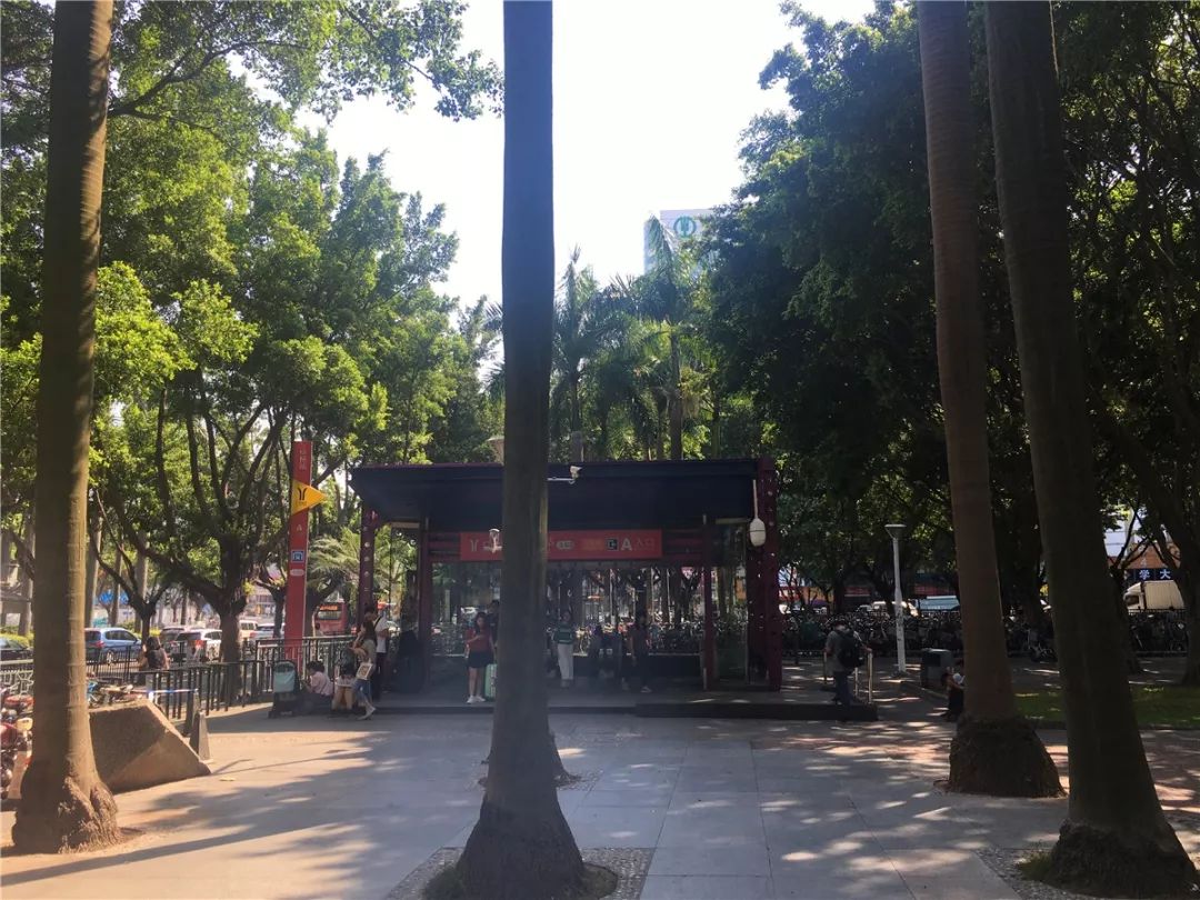 最新番禺吧美食游玩攻略，一網打盡的樂趣盛宴！