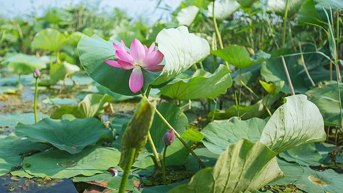 尤柔美最新變化，自信與成就感的源泉，展現力量的魅力