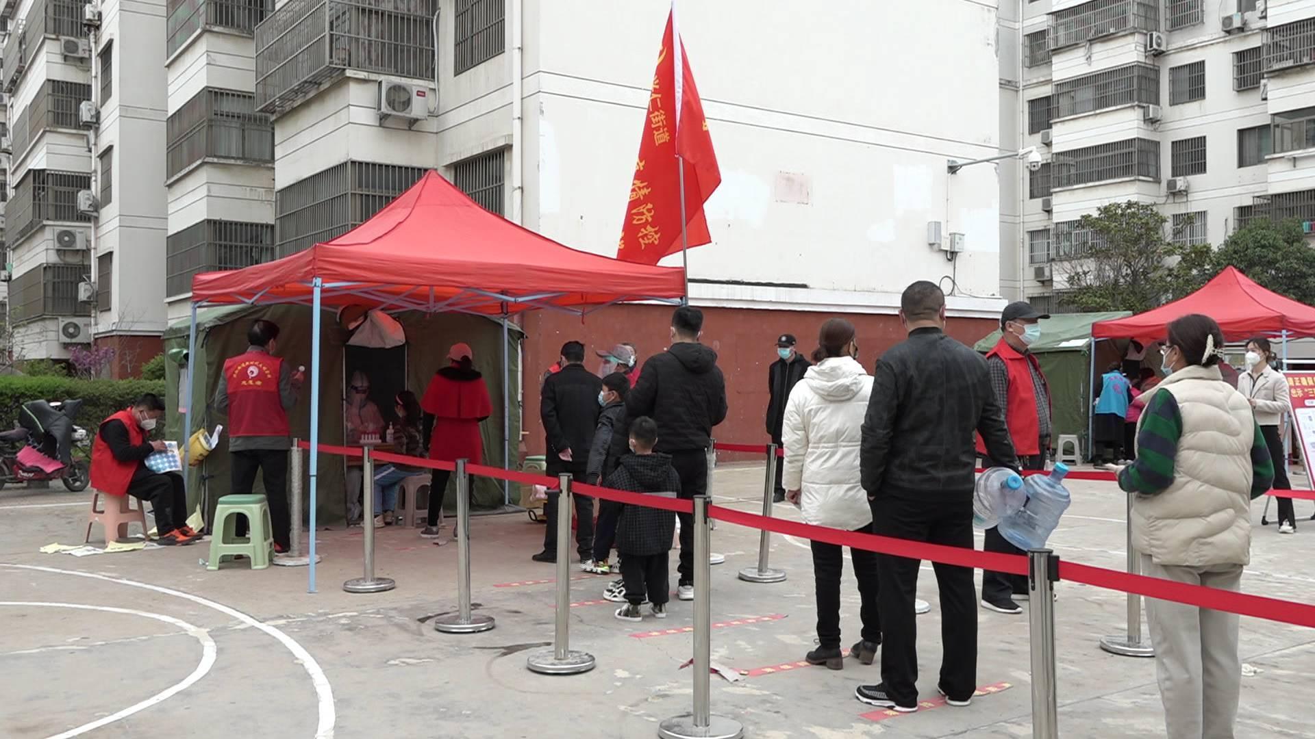 棗莊疫情最新動態，自然探索之旅尋求內心平和