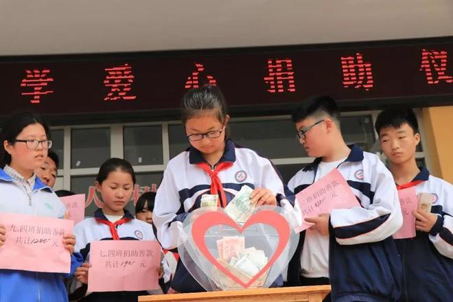 最新強制捐款，愛與陪伴的交織旅程