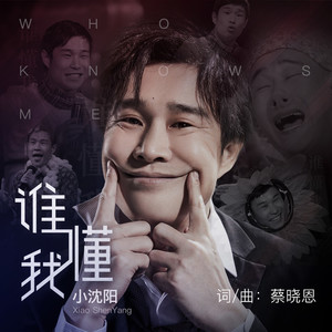 最新懂歌,時代旋律與文化印記的融合