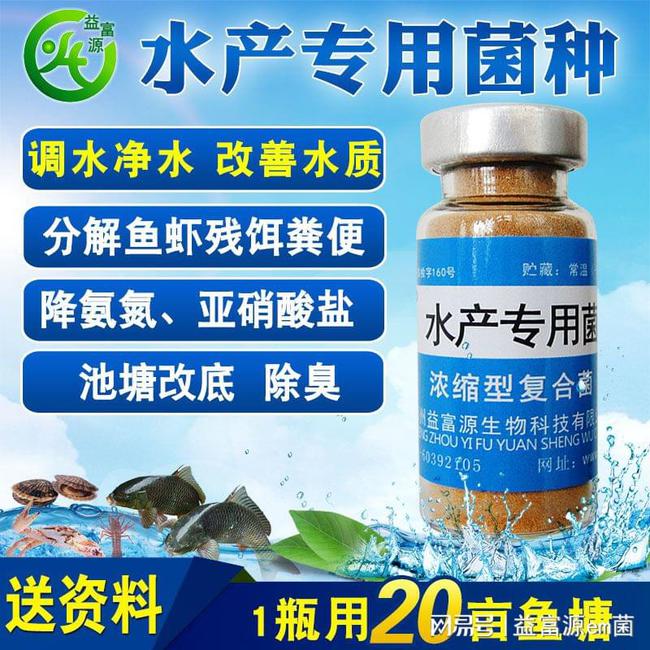 碘制劑最新進展，小巷深處的神秘寶藏探索