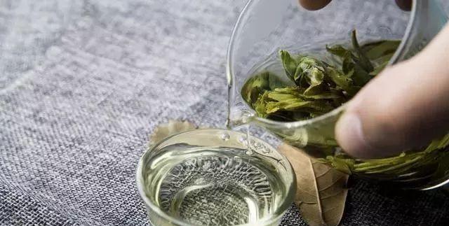 最新泡茶法詳解，一步步指南引領(lǐng)你掌握泡茶技巧