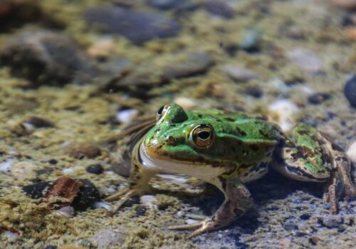 印刷環評 第37頁