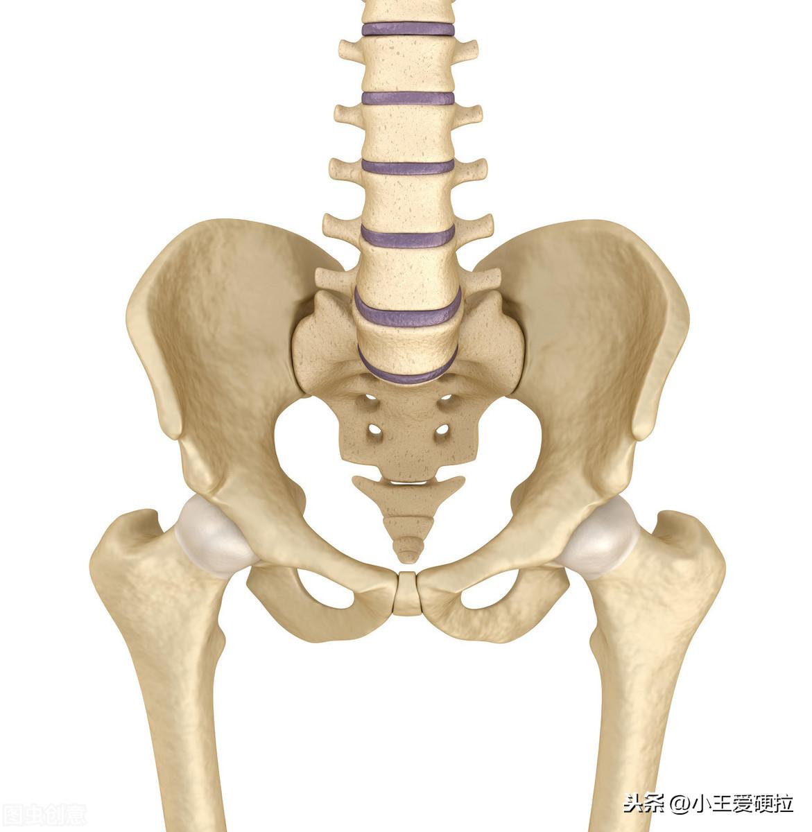 最新臀部訓練之旅,自然美景的探險之旅