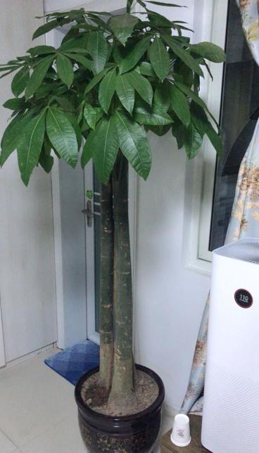 技術革新填充繩，探討最新填充繩技術及其實際應用