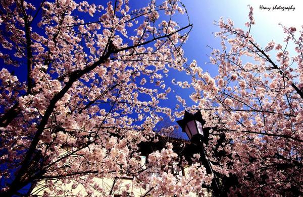 探秘國內小巷中的最新免費獨特小店