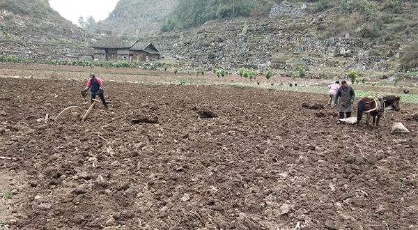 惠水最新疫情,時代印記與抗擊力量的交匯點