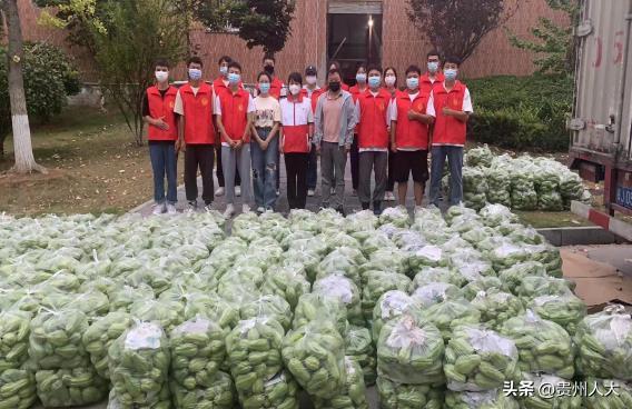 惠水最新疫情,時代印記與抗擊力量的交匯點