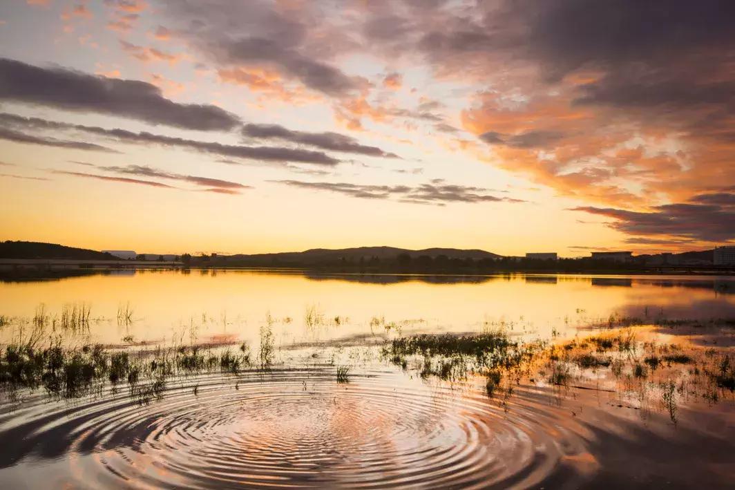 科技重塑生活,51度最新進展,未來觸手可及