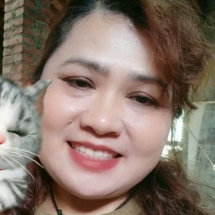 梅姐探險之旅，探尋自然奧秘，回歸內心寧靜