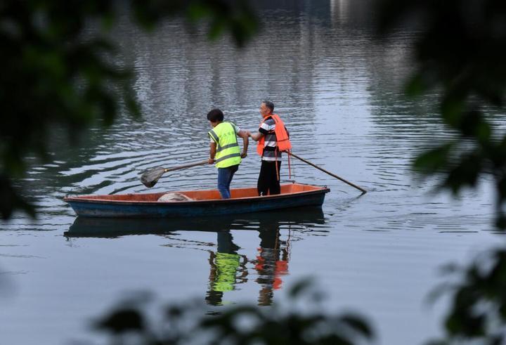 最新尿素項目深度解析與觀點論述
