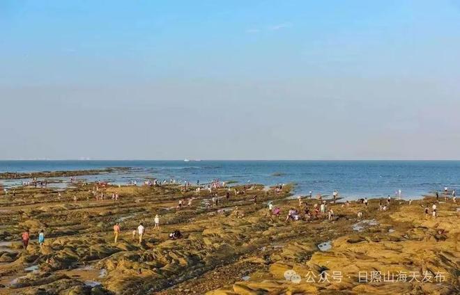 日照趕海最新詳細步驟指南，探索趕海新體驗！