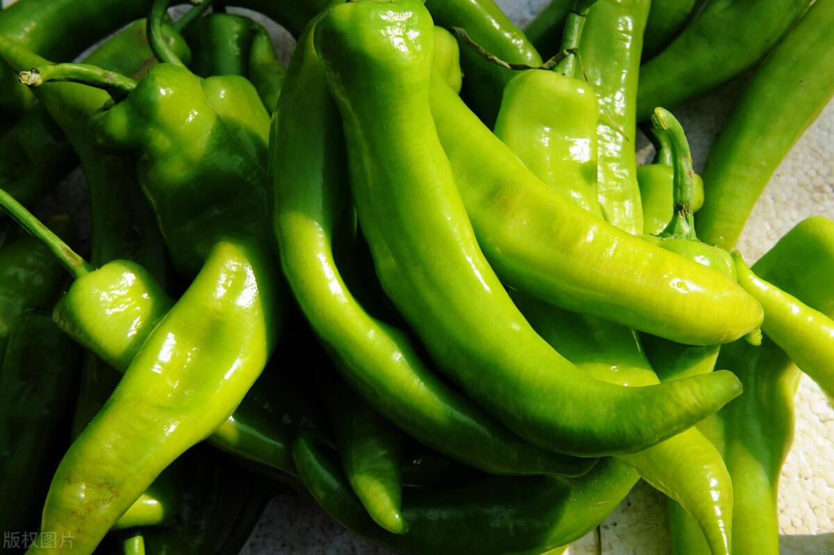 最新菜花行情與小巷美食探秘