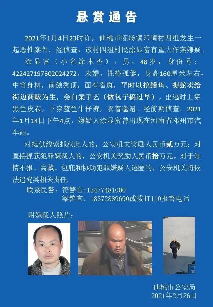 仙桃最新懸賞,探索自然美景之旅,尋找內(nèi)心平和之地