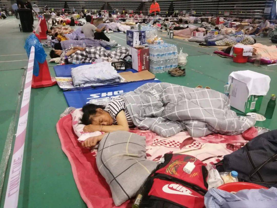 舟山乘風破浪，揚帆起航，與時代共舞的新篇章動態更新